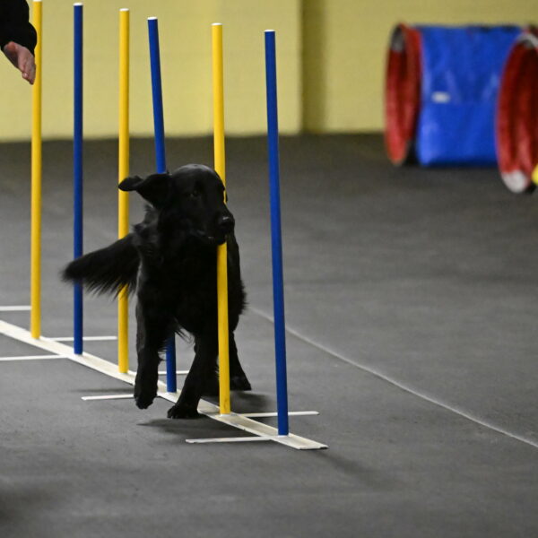 Apollo-Everhart-06820