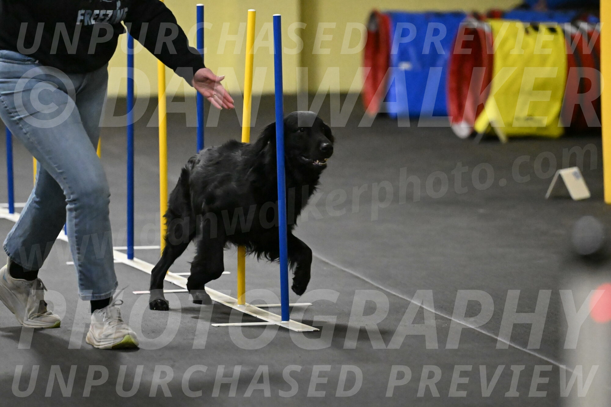 Apollo-Everhart-06823