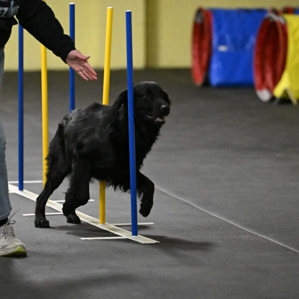 Apollo-Everhart-06823