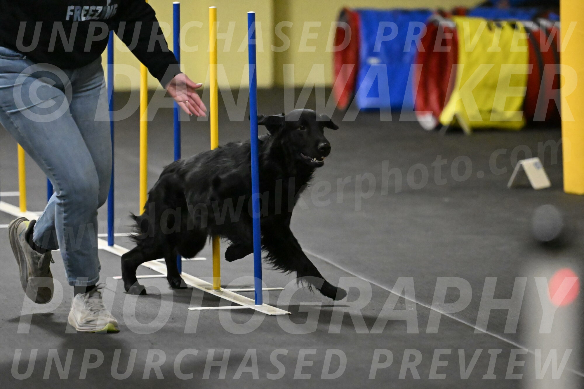 Apollo-Everhart-06824