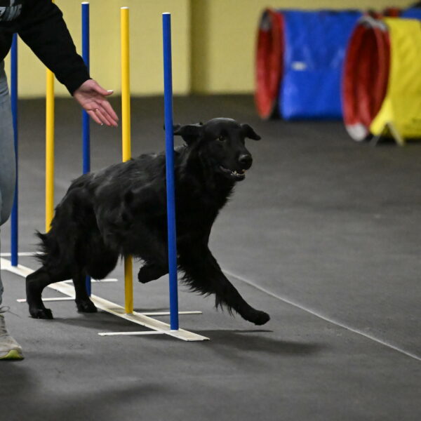 Apollo-Everhart-06824