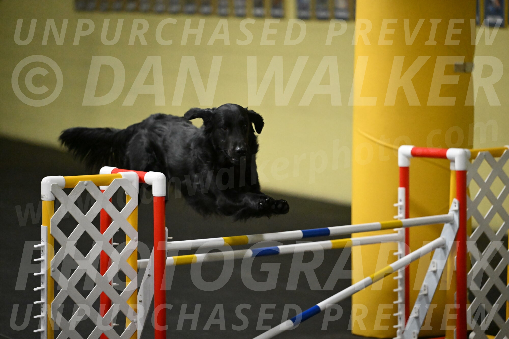 Apollo-Everhart-06827