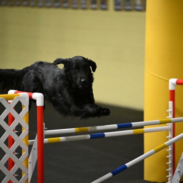 Apollo-Everhart-06827