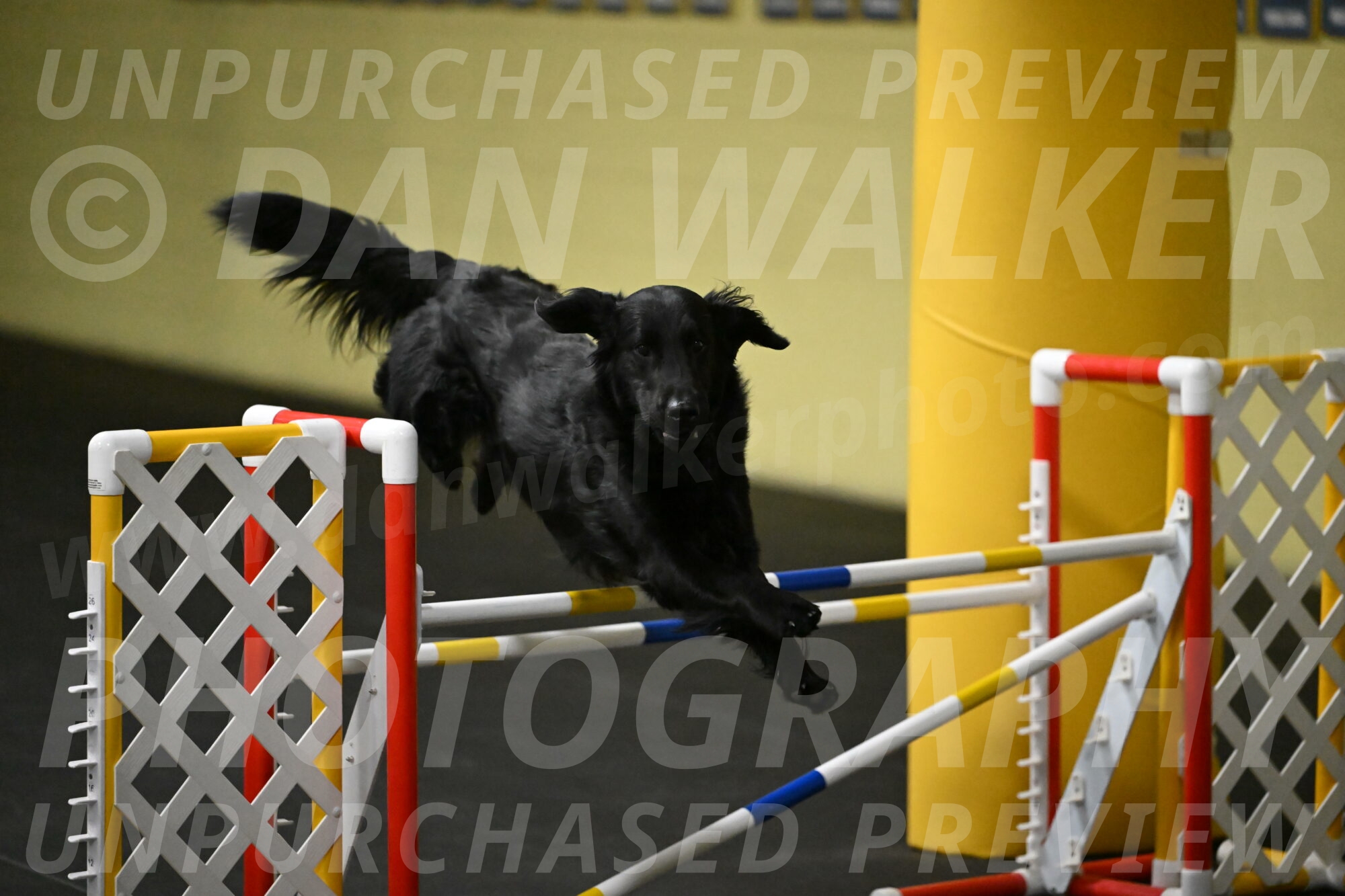 Apollo-Everhart-06828