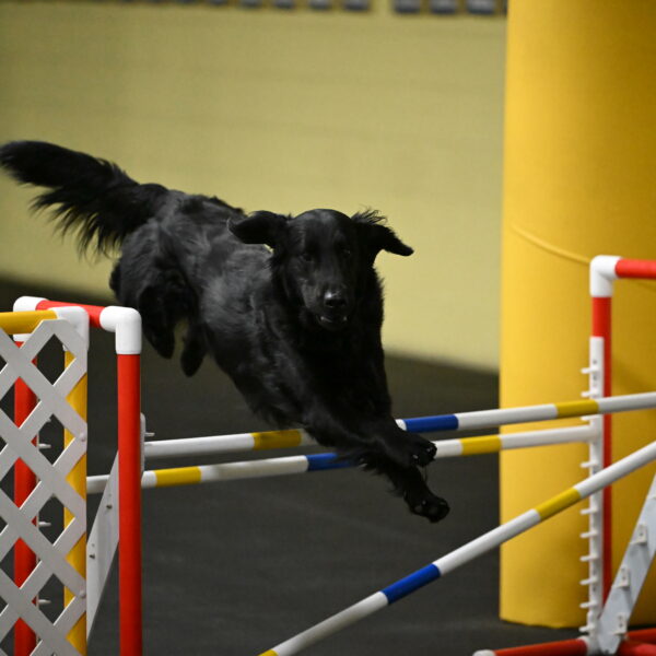 Apollo-Everhart-06828