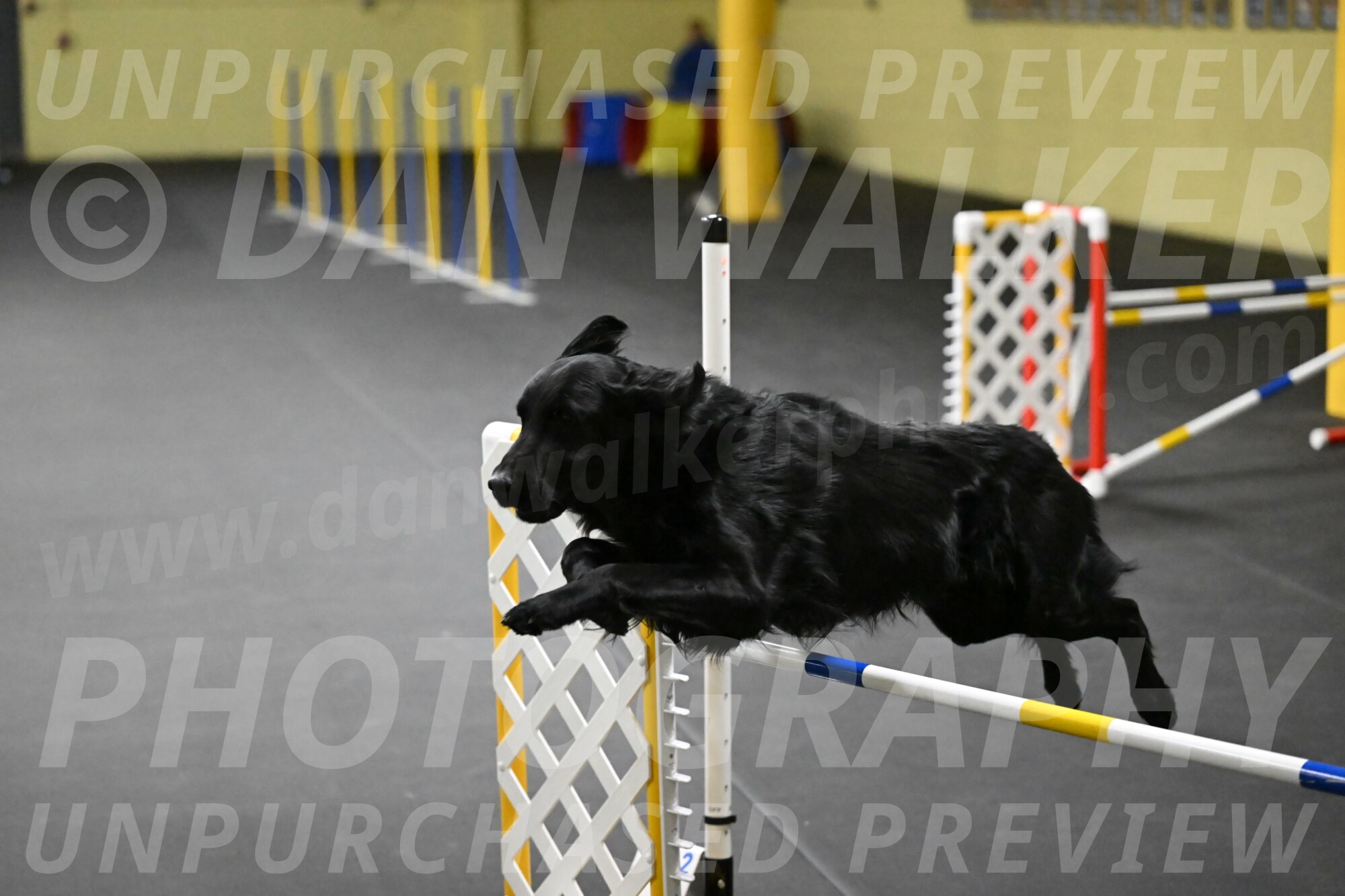 Apollo-Everhart-06837