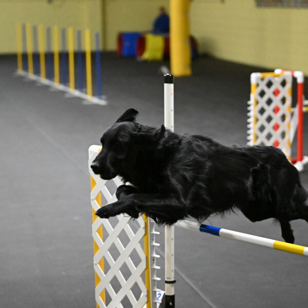 Apollo-Everhart-06837