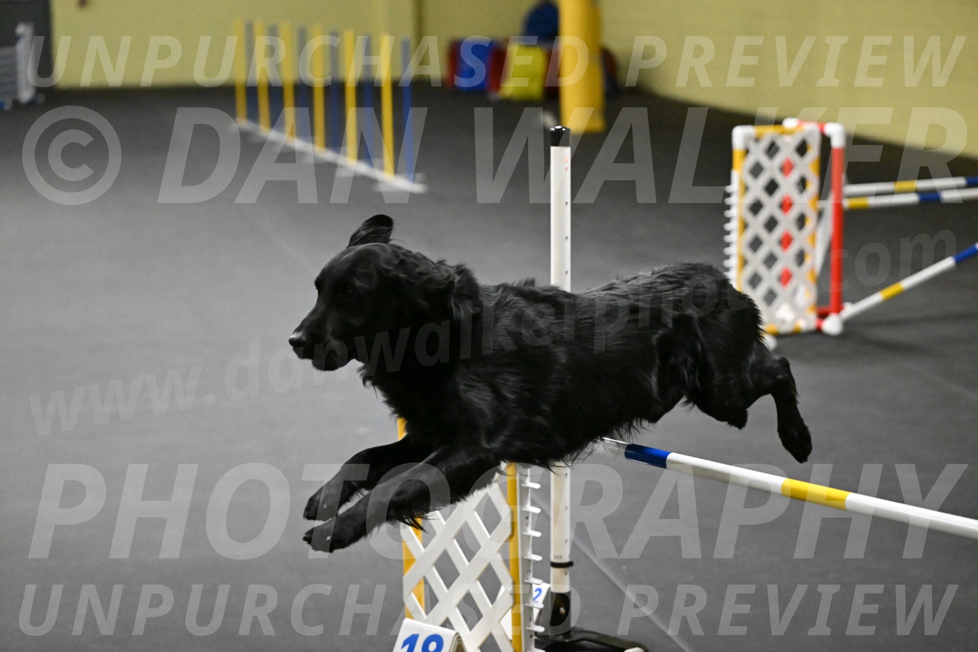 Apollo-Everhart-06838