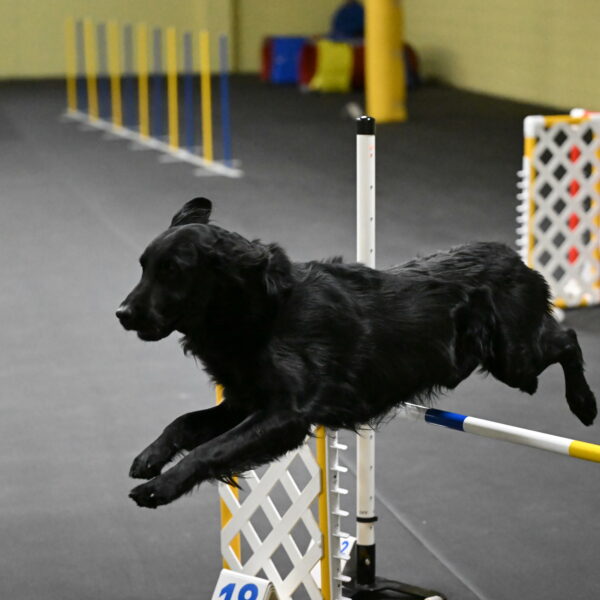 Apollo-Everhart-06838