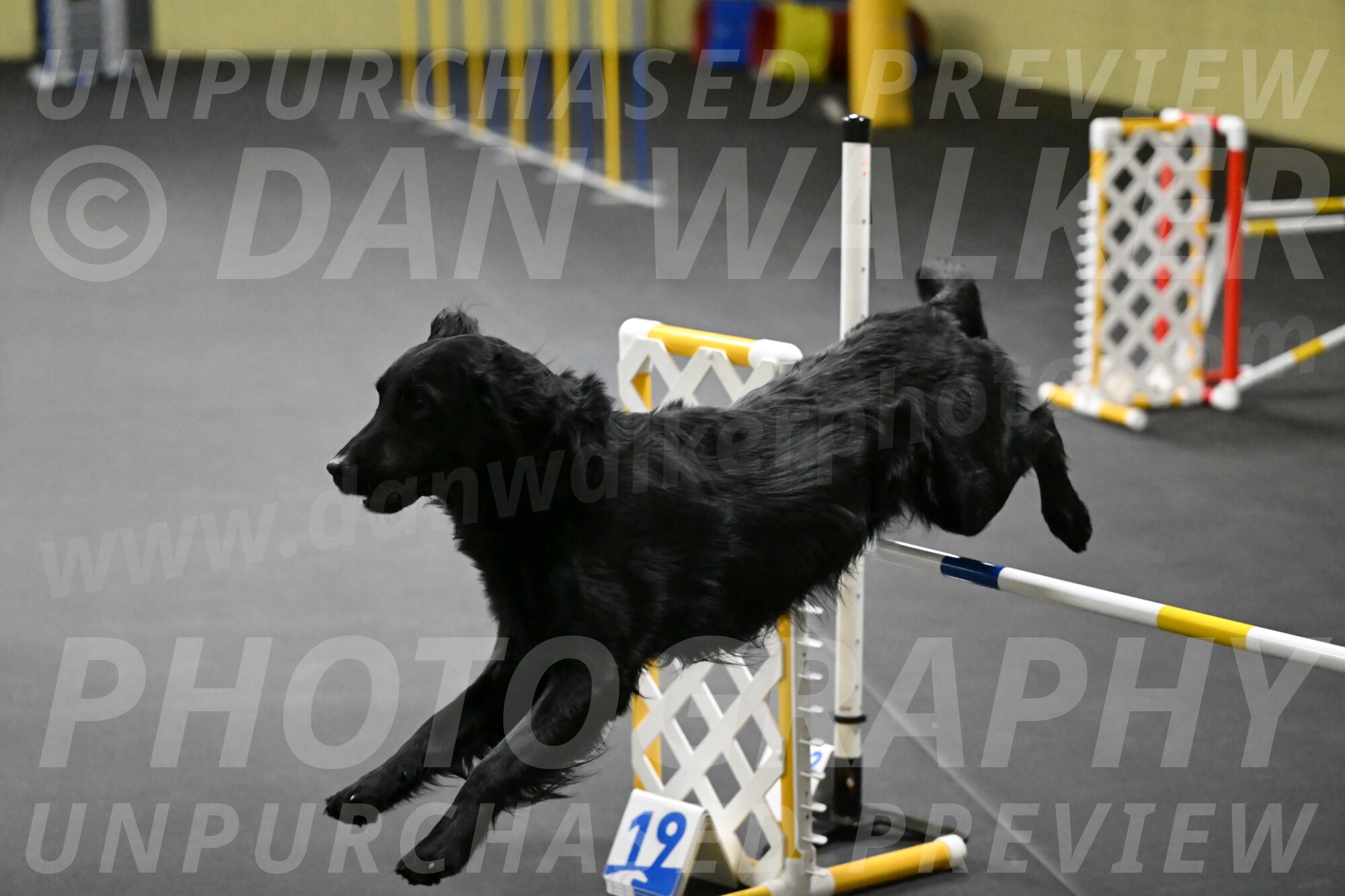 Apollo-Everhart-06839