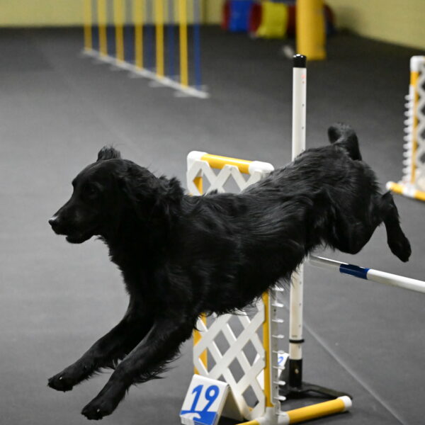 Apollo-Everhart-06839