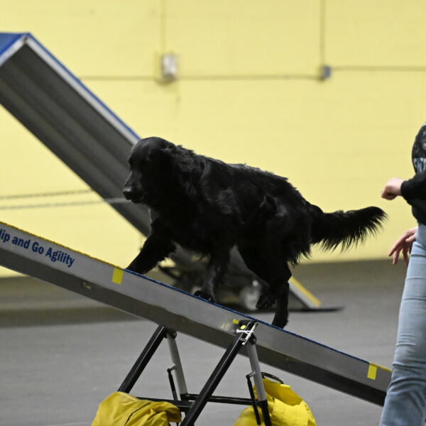 Apollo-Everhart-06851