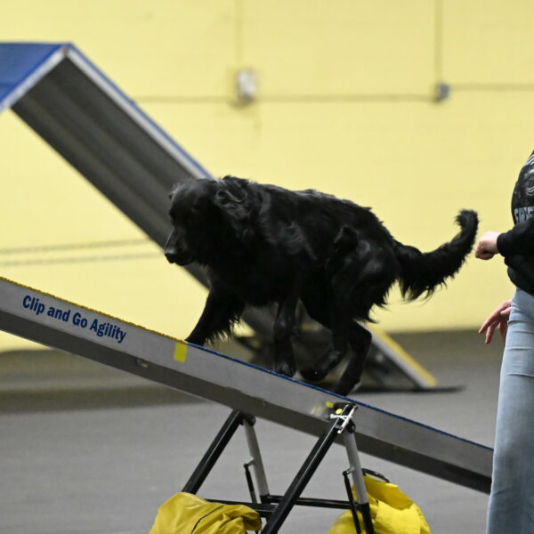 Apollo-Everhart-06852