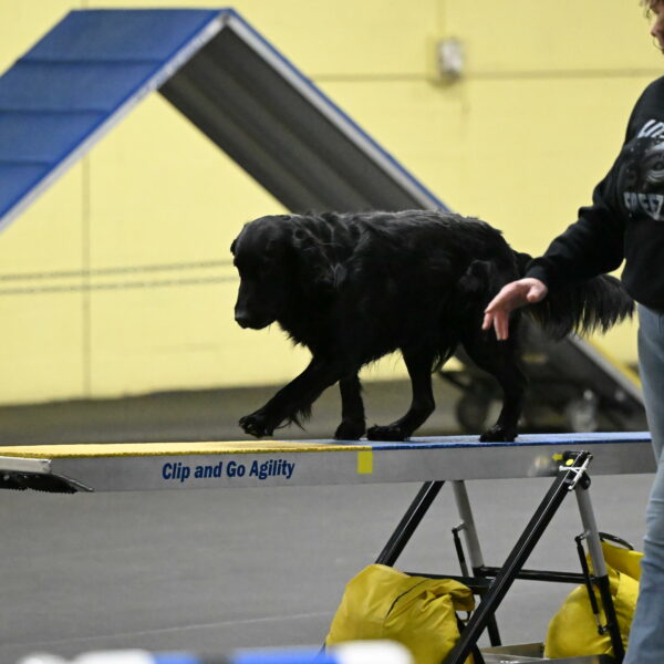 Apollo-Everhart-06855