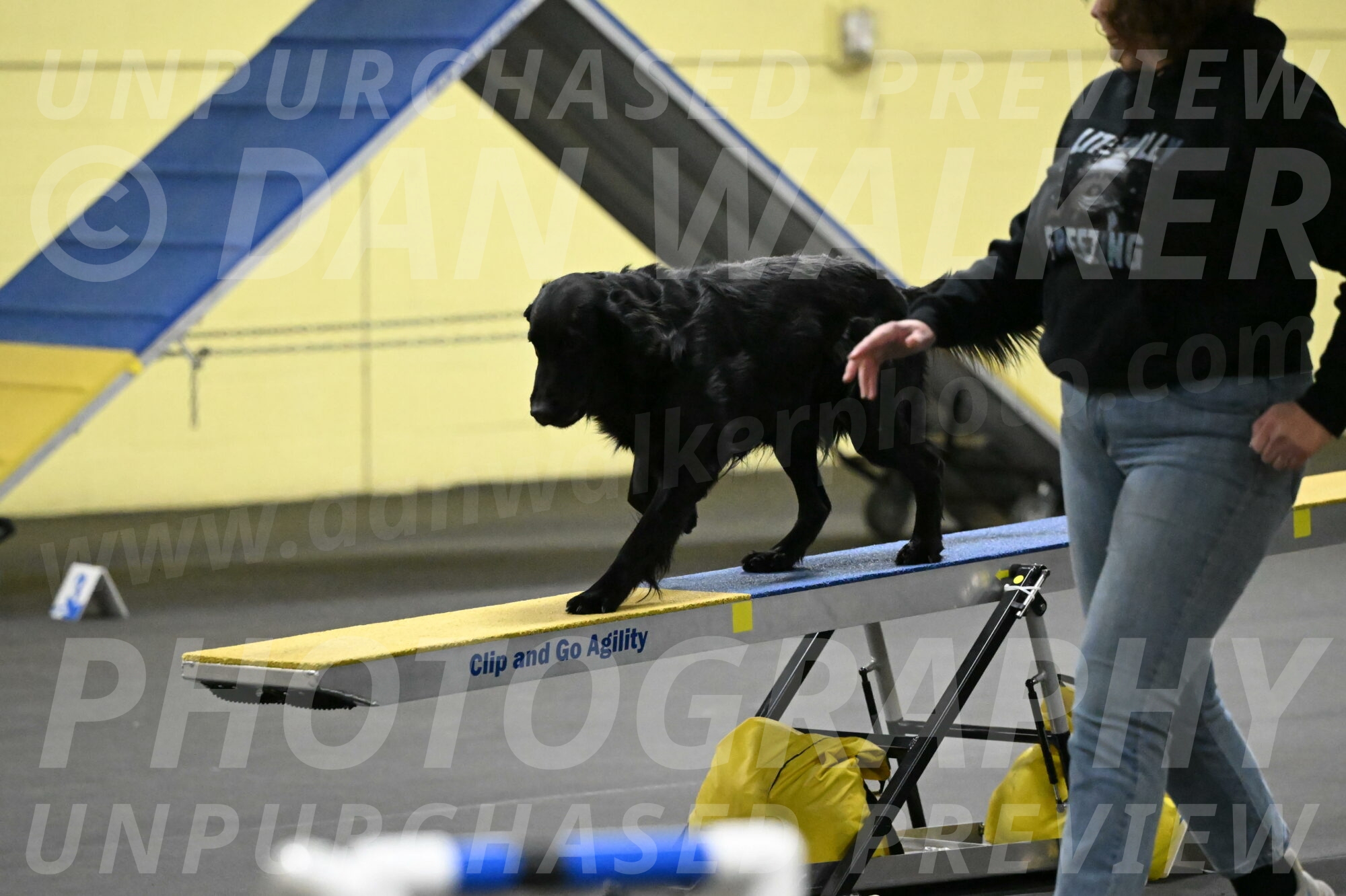 Apollo-Everhart-06856