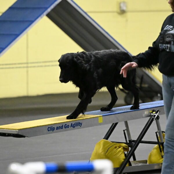 Apollo-Everhart-06856