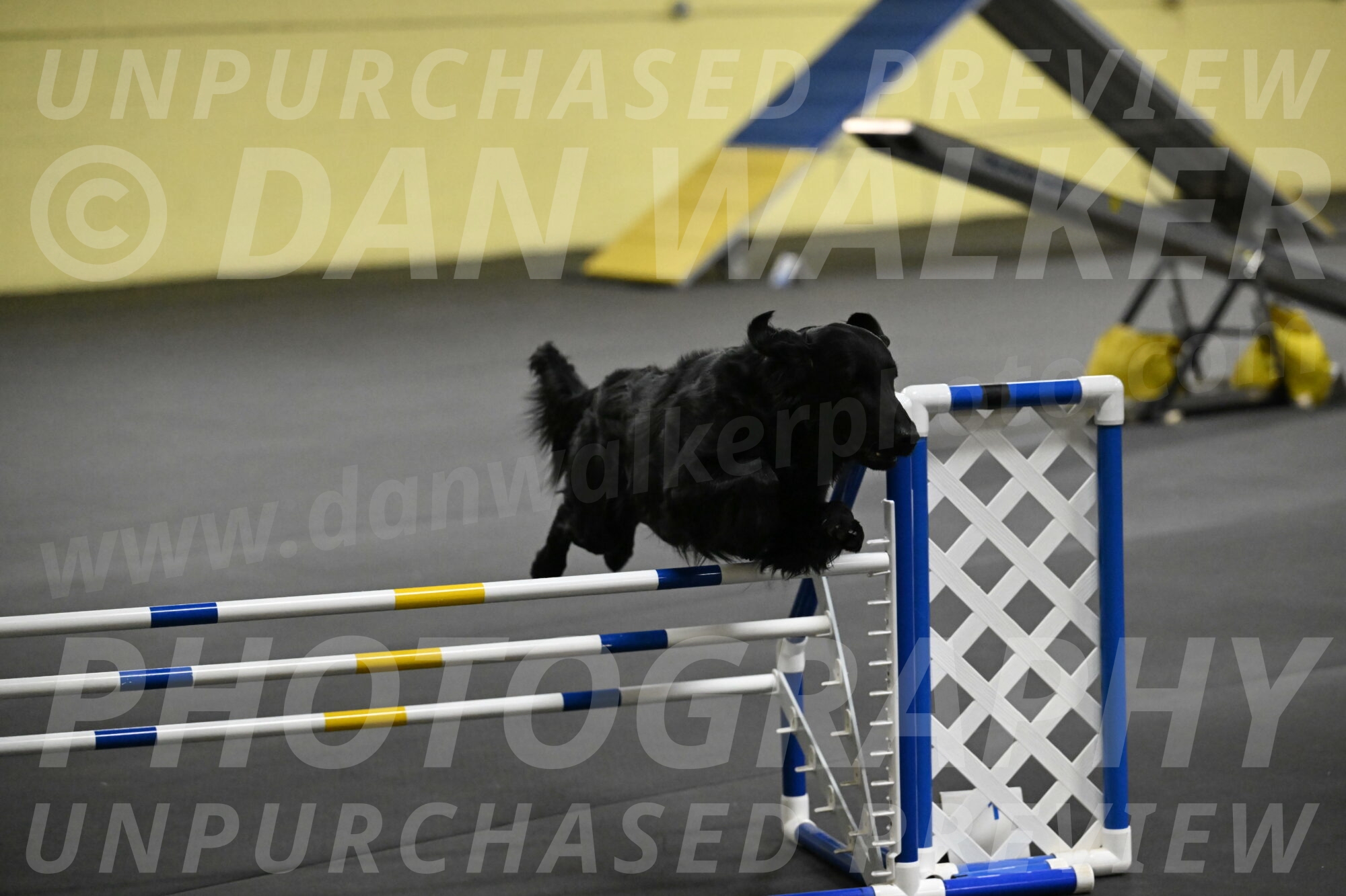 Apollo-Everhart-06868