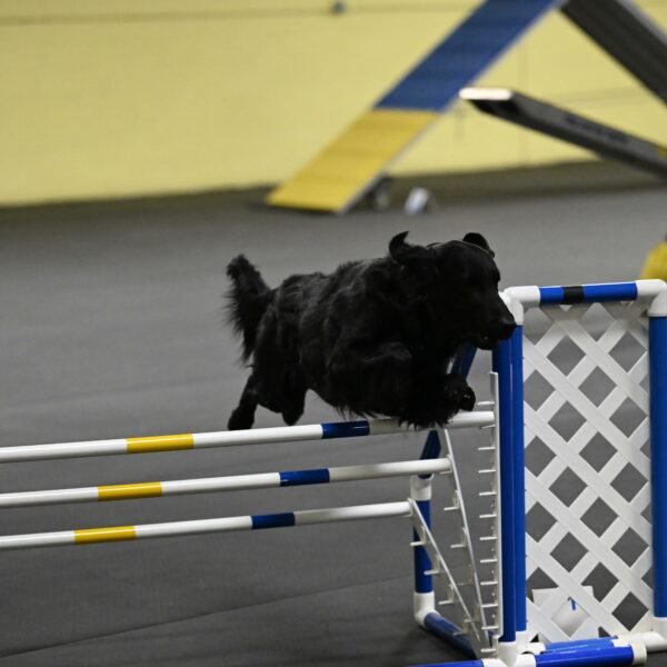 Apollo-Everhart-06868