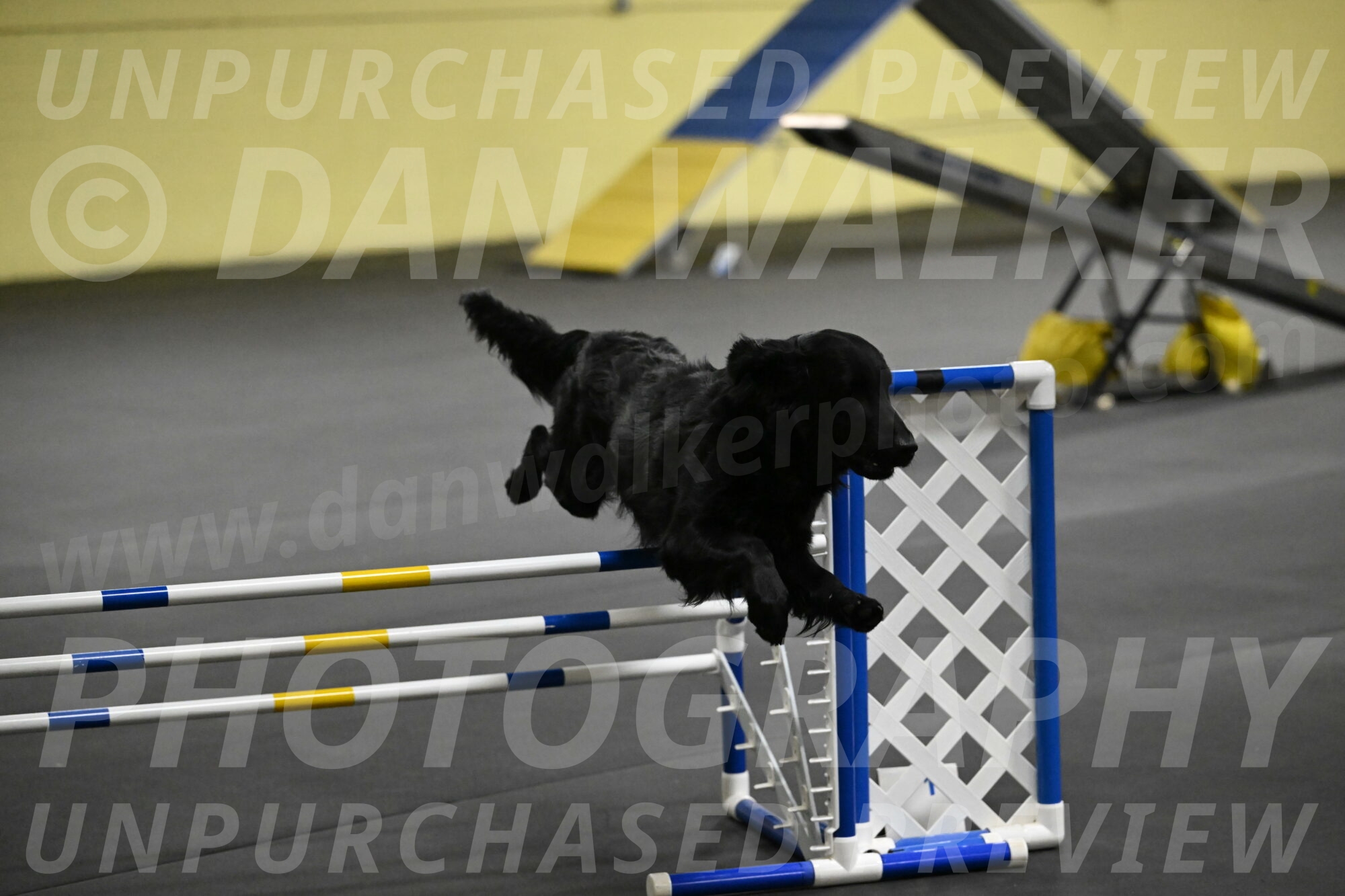 Apollo-Everhart-06869