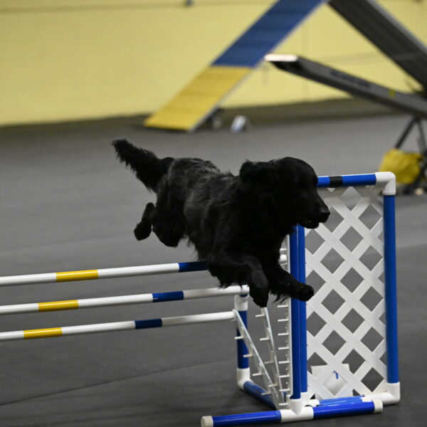 Apollo-Everhart-06869