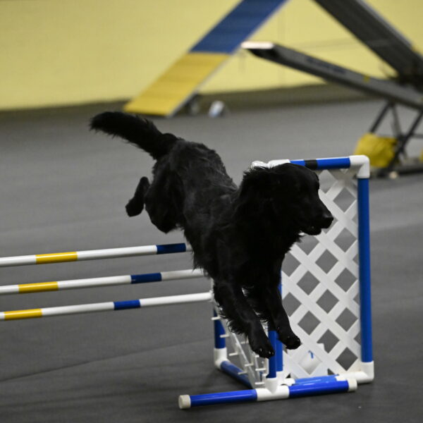 Apollo-Everhart-06870