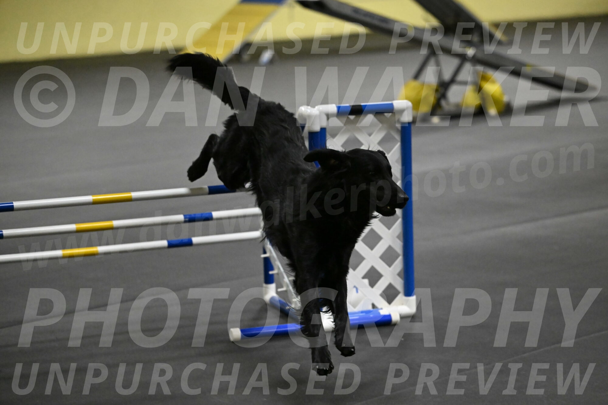 Apollo-Everhart-06871