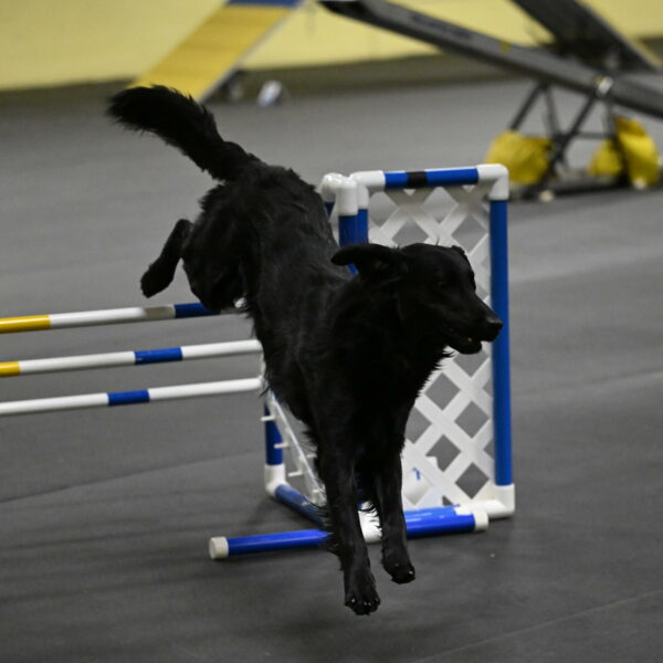 Apollo-Everhart-06871