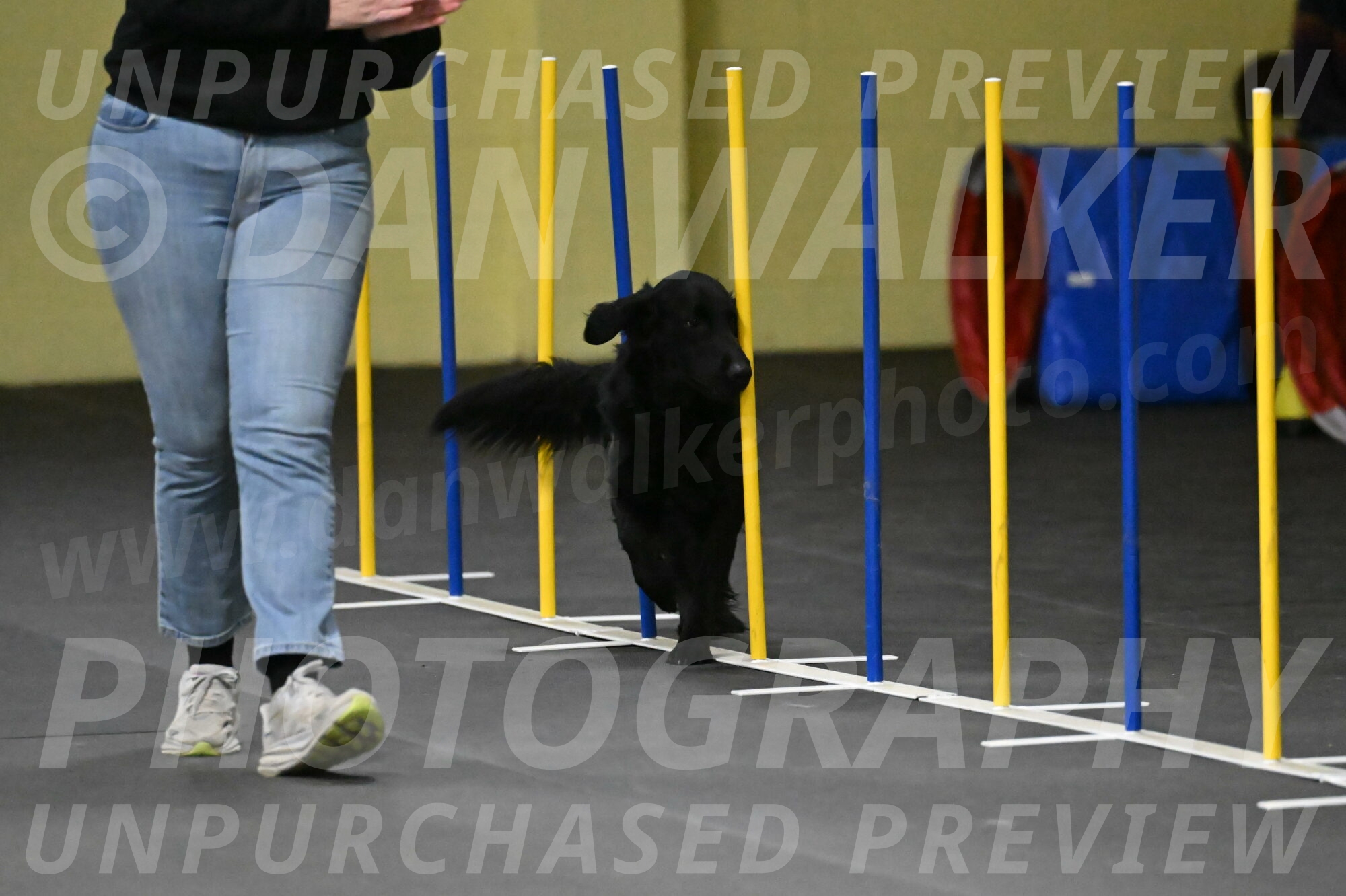 Apollo-Everhart-06878