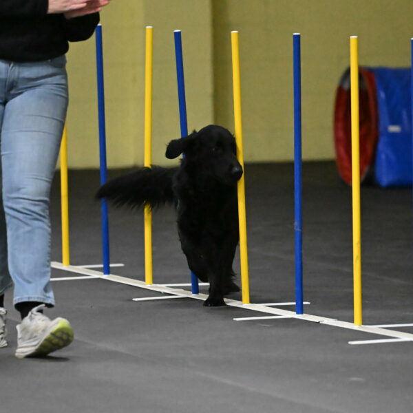 Apollo-Everhart-06878