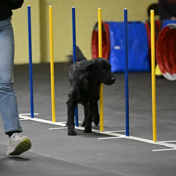 Apollo-Everhart-06885