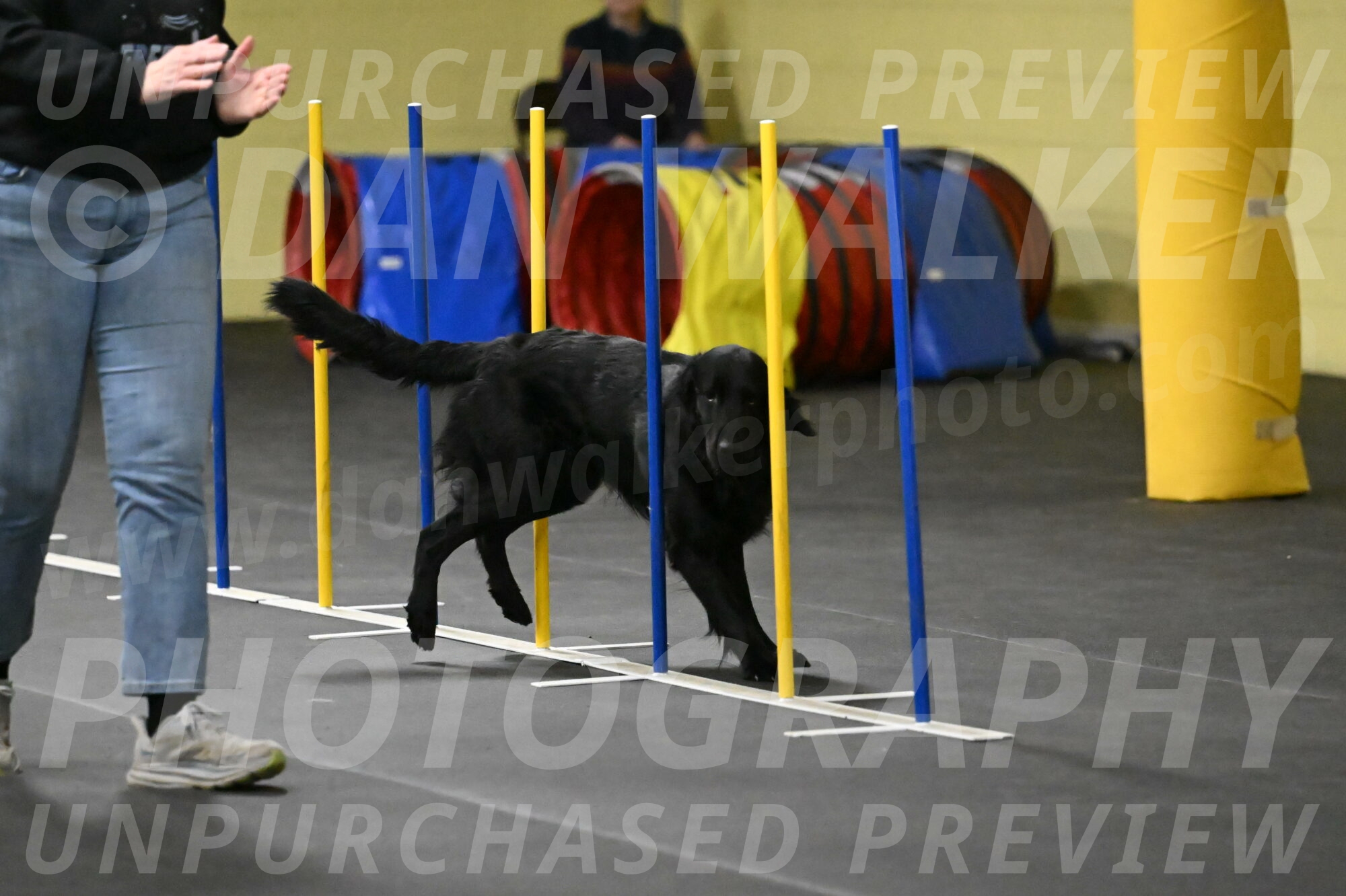 Apollo-Everhart-06896