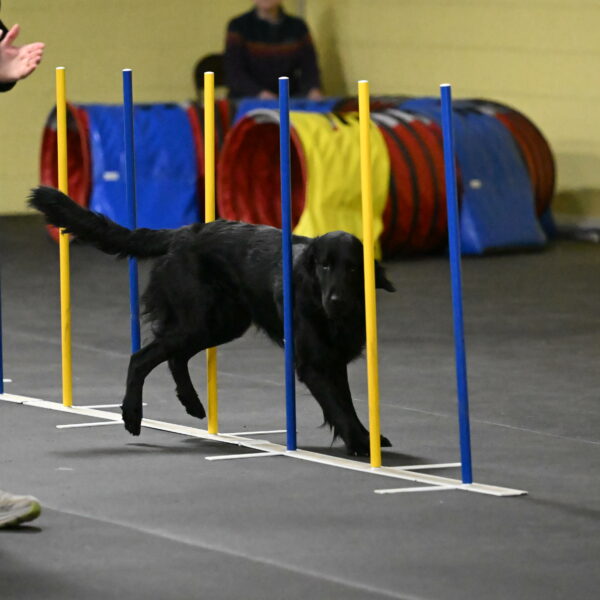 Apollo-Everhart-06896