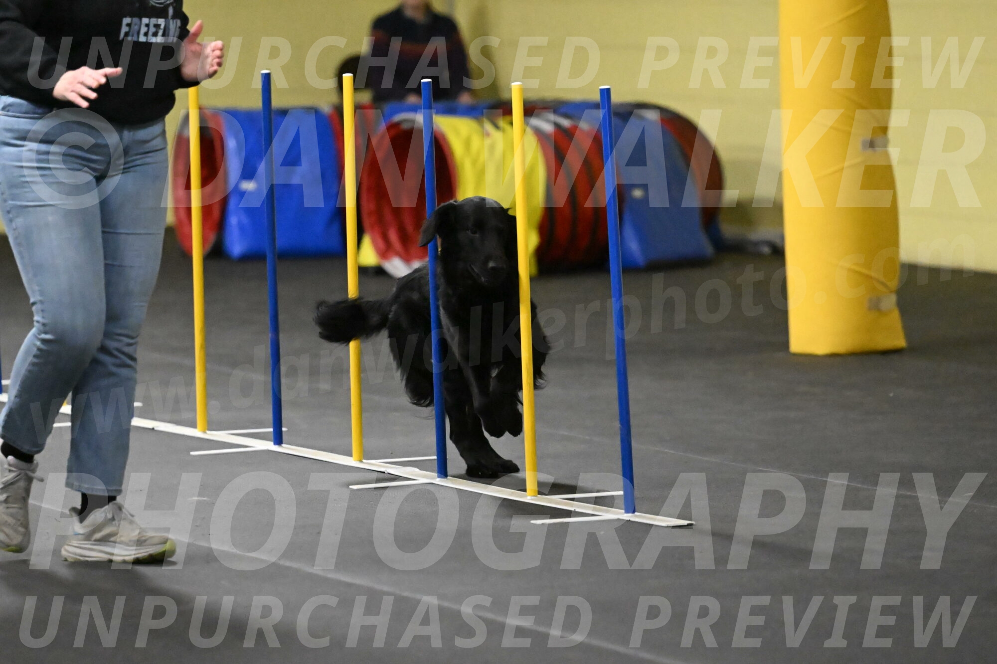 Apollo-Everhart-06897