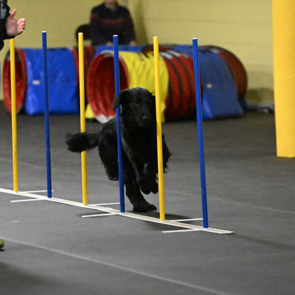 Apollo-Everhart-06897