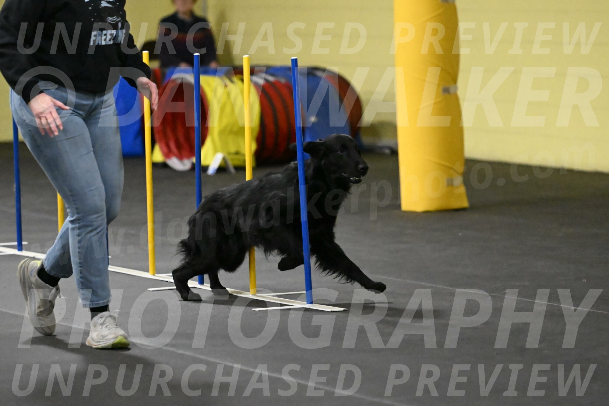 Apollo-Everhart-06902