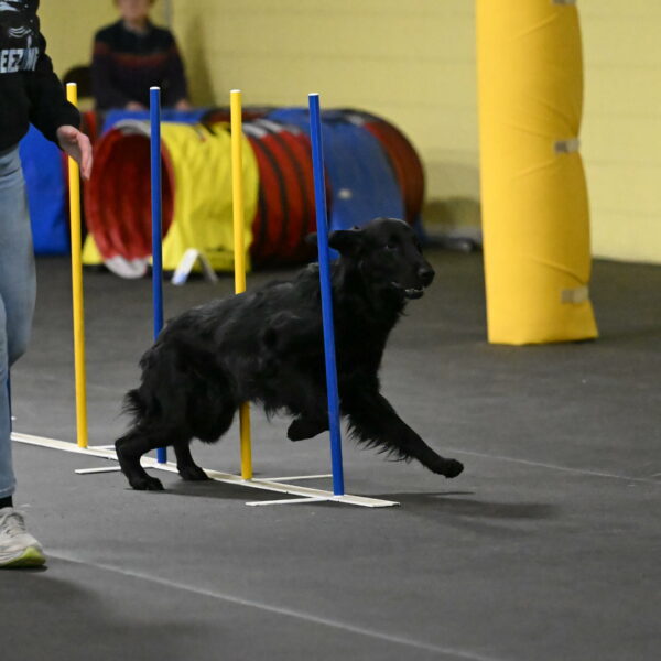 Apollo-Everhart-06902