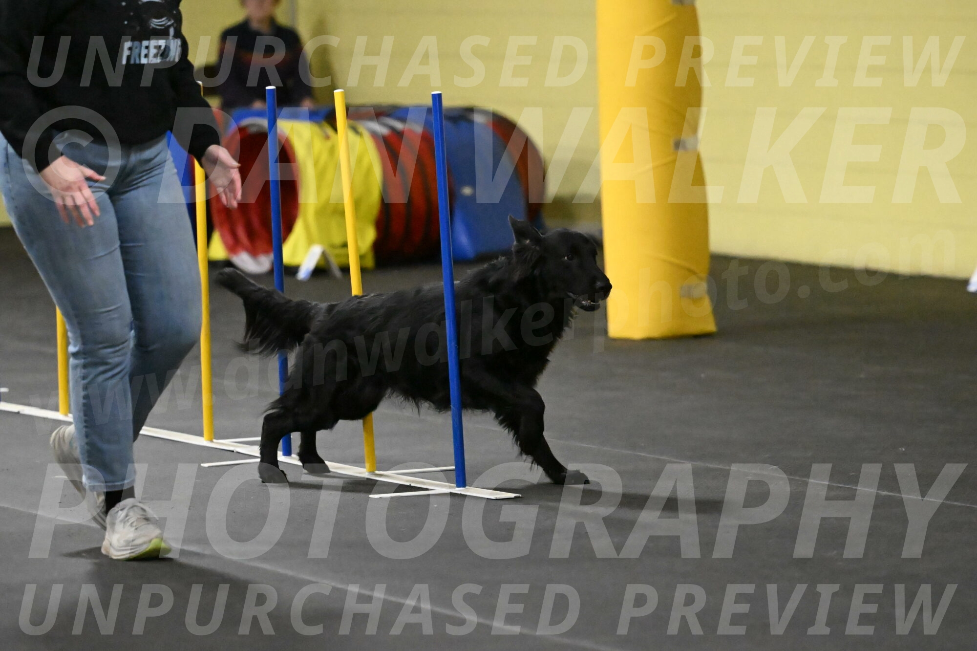 Apollo-Everhart-06903