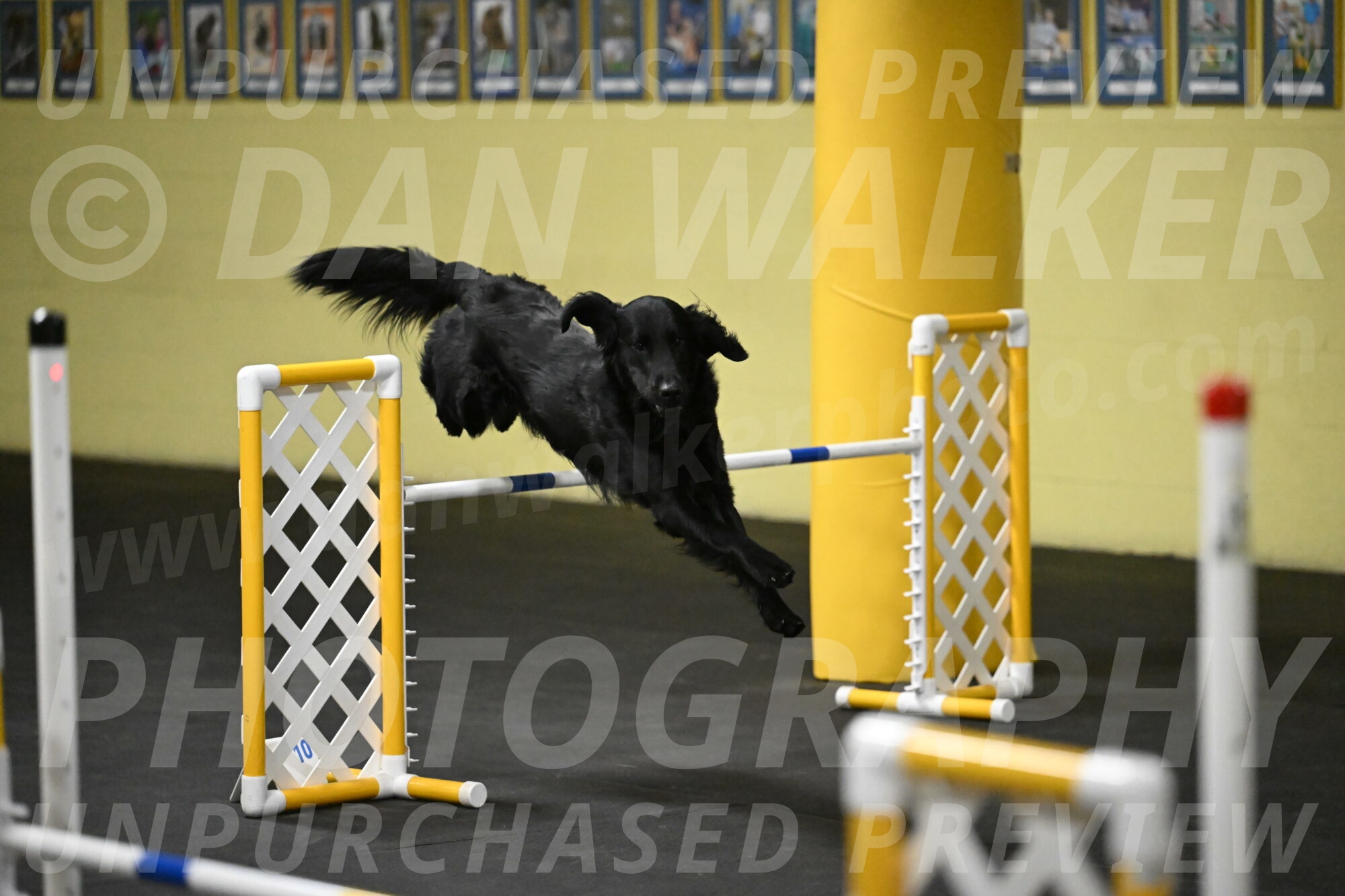 Apollo-Everhart-06907