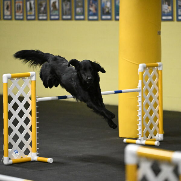 Apollo-Everhart-06907