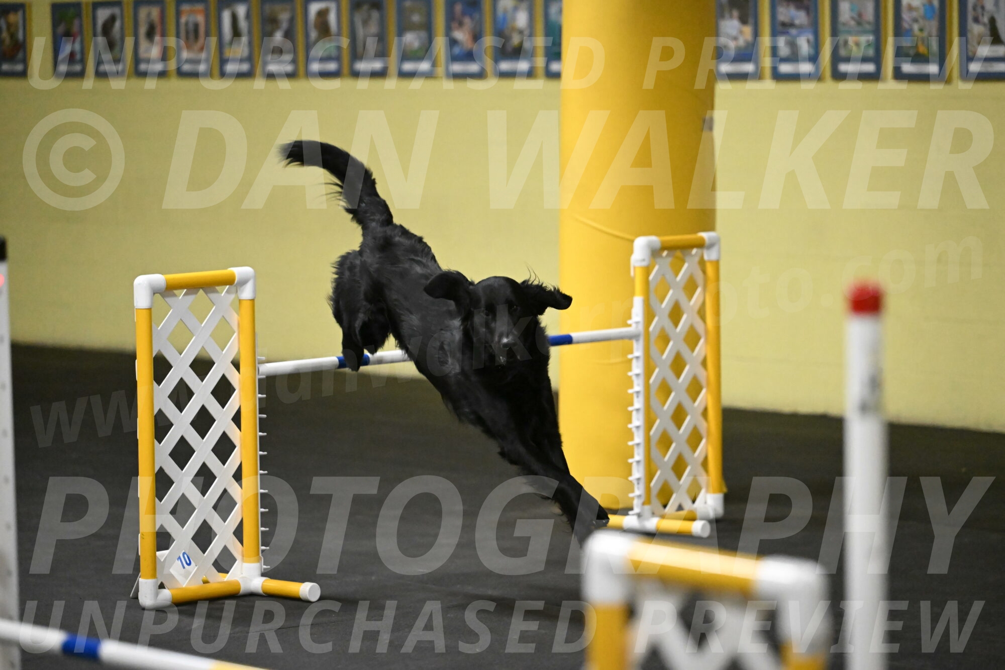 Apollo-Everhart-06908