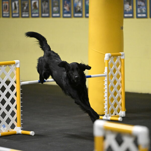 Apollo-Everhart-06908