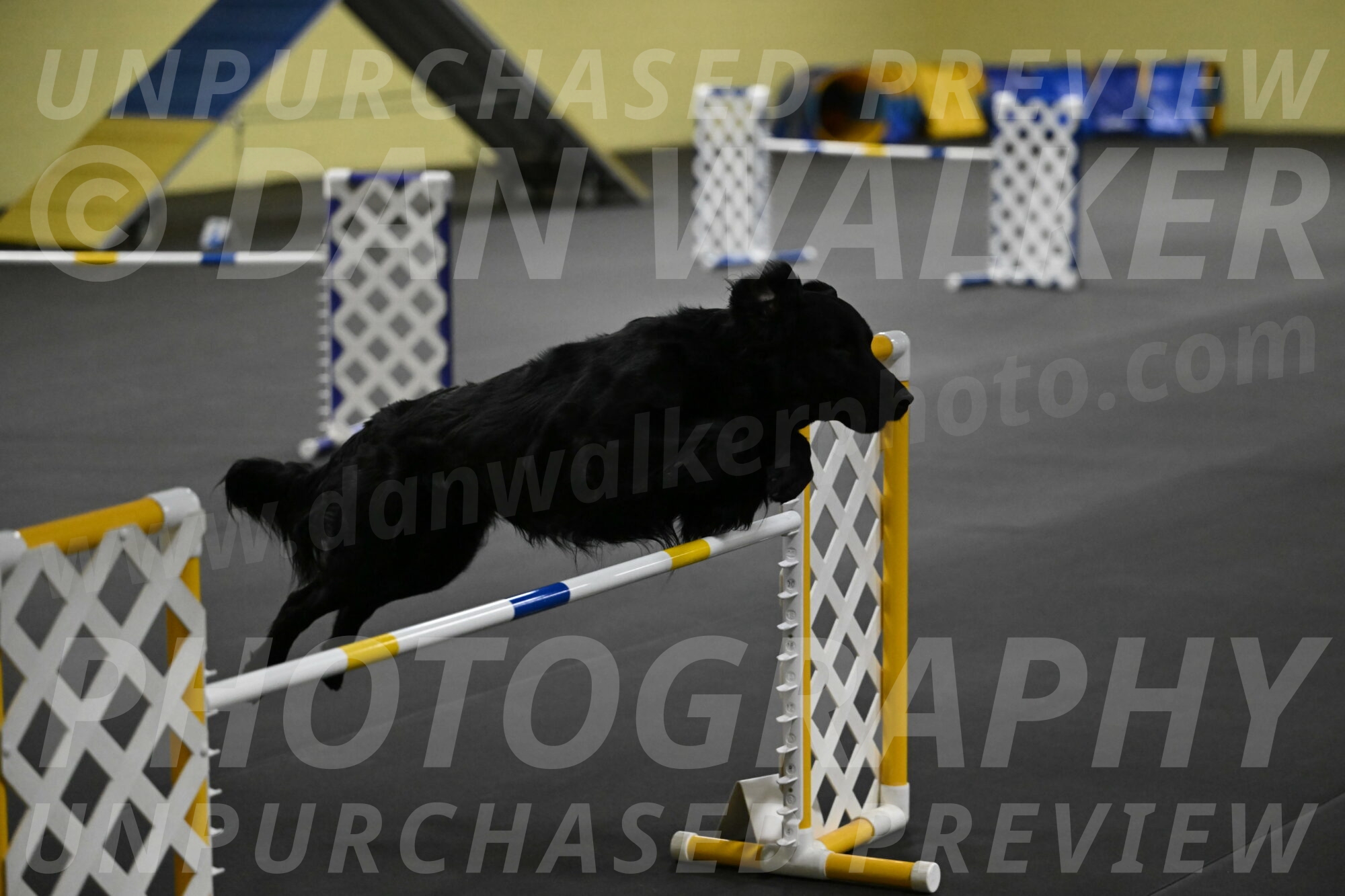 Apollo-Everhart-06923