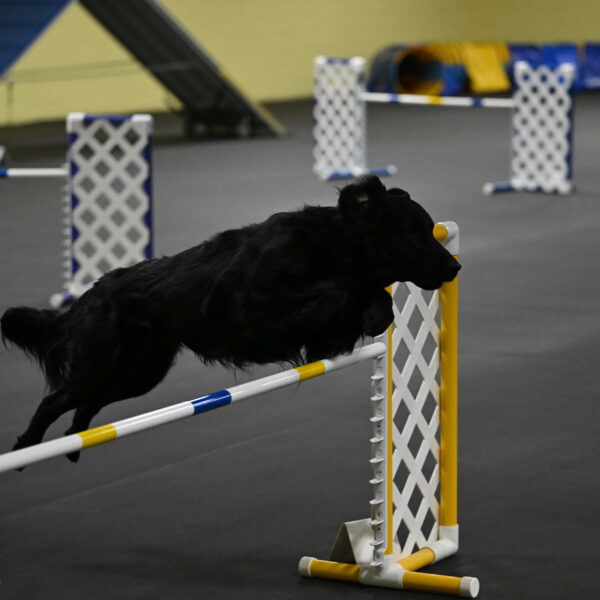 Apollo-Everhart-06923