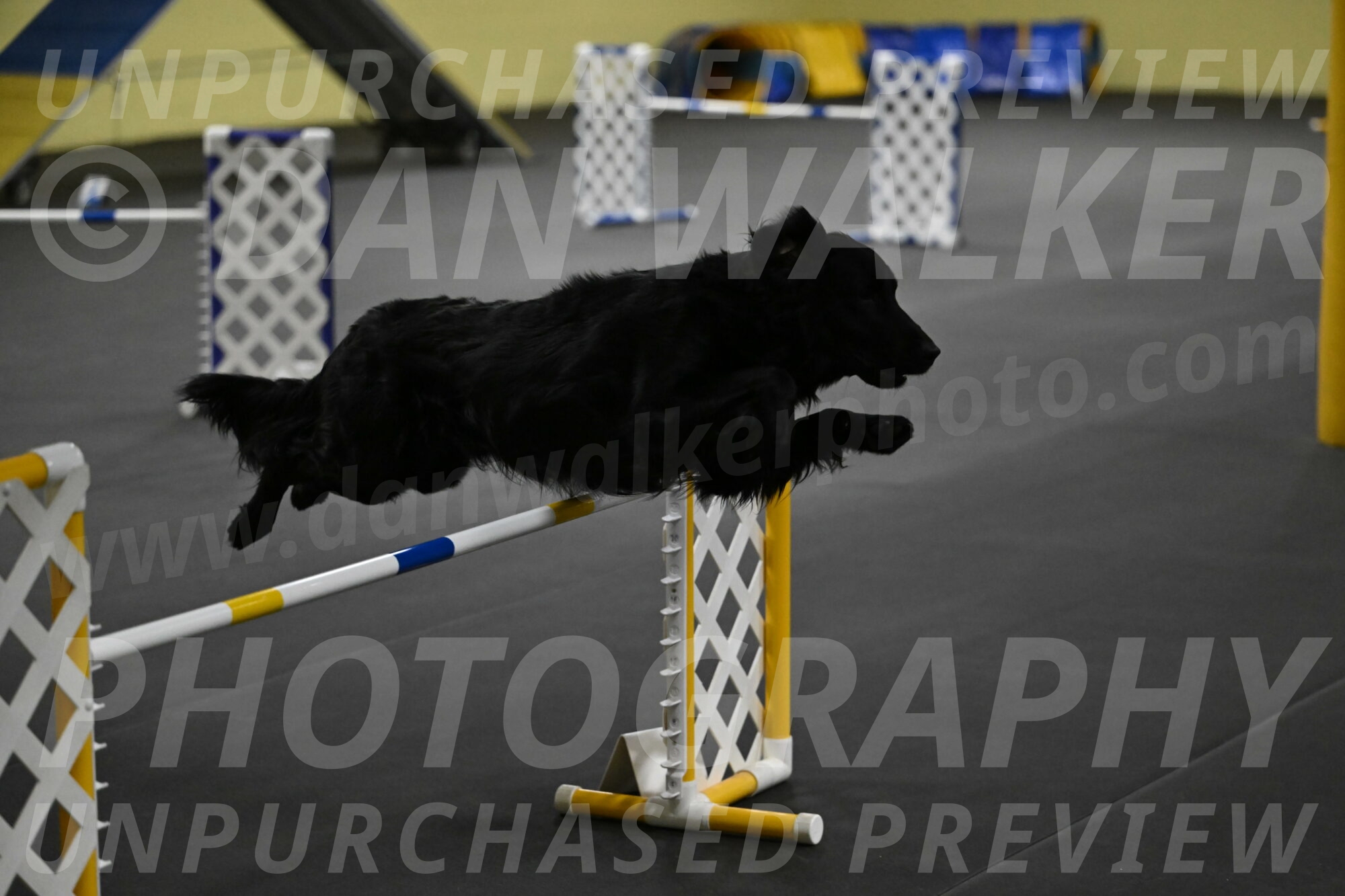 Apollo-Everhart-06924