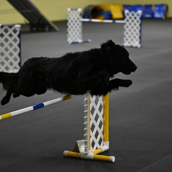 Apollo-Everhart-06924