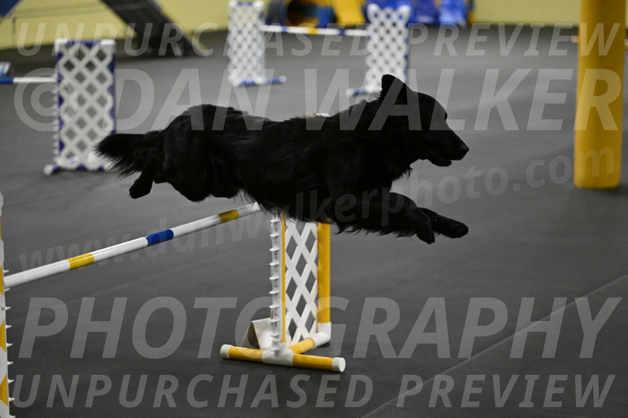 Apollo-Everhart-06925