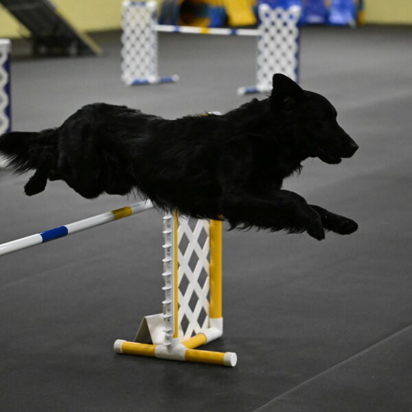 Apollo-Everhart-06925