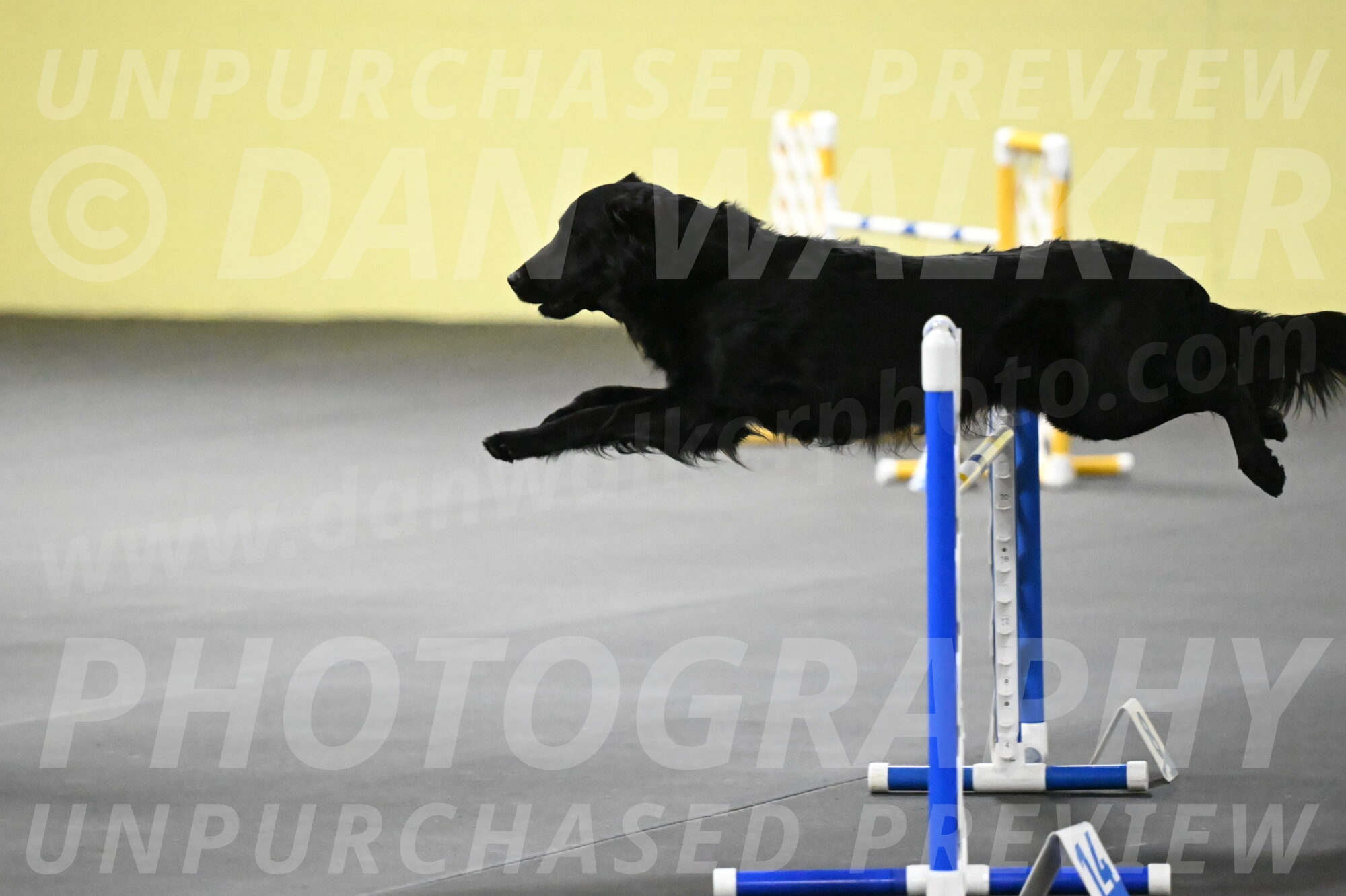 Apollo-Everhart-06926