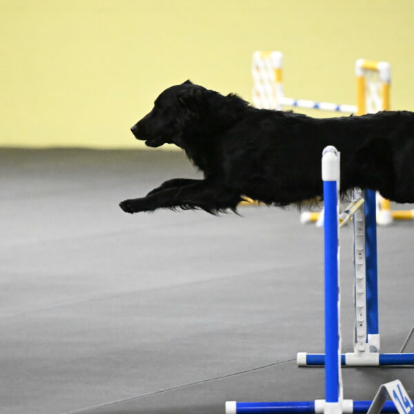 Apollo-Everhart-06926