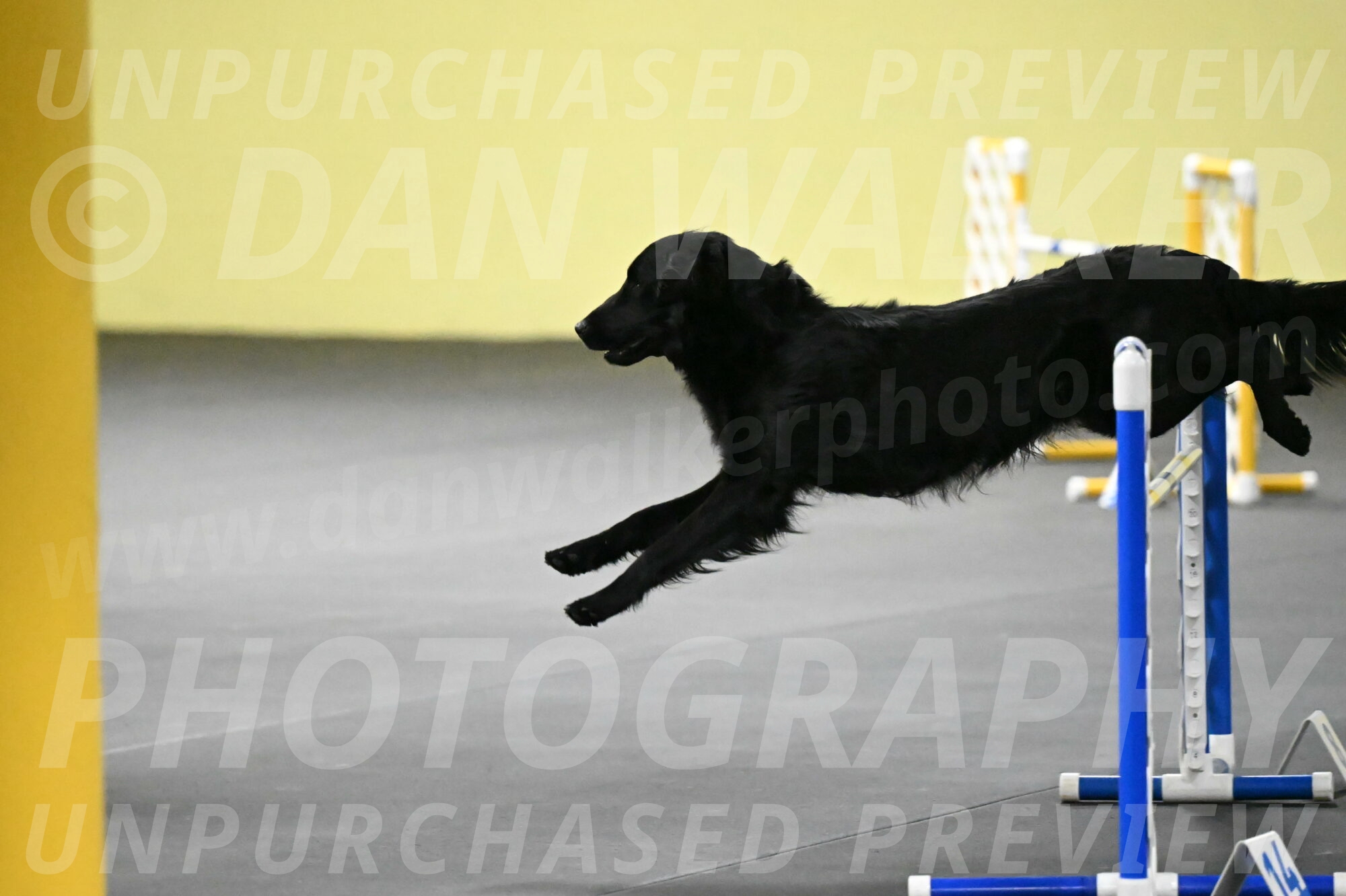 Apollo-Everhart-06927